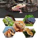 Vodolo Reptile Tank Carpet for Bearded Dragons