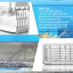 Acrylic Fish Isolation Box for Breeding and Acclimation