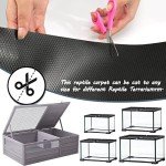 Vodolo Reptile Tank Carpet for Bearded Dragons