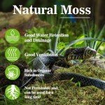 Sukh Sphagnum Moss for Reptile Habitats - 3oz