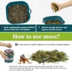 Sukh Sphagnum Moss for Reptile Habitats - 3oz