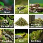 Sukh Sphagnum Moss for Reptile Habitats - 3oz