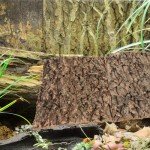 2PCS Cork Bark for Reptiles and Terrariums