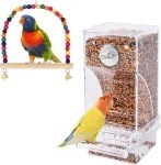 No-Mess Transparent Bird Feeder for Small Birds