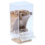 No-Mess Transparent Bird Feeder for Small Birds