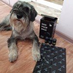 Leak-Proof Dog Poop Bags - 128 Thick Rolls