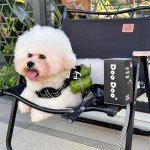 Leak-Proof Dog Poop Bags - 128 Thick Rolls