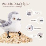 Interactive Rechargeable Flapping Bird Cat Toy
