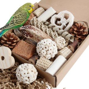Natural Foraging Box for Small to Medium Birds