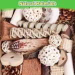 Natural Foraging Box for Small to Medium Birds