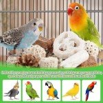 Natural Foraging Box for Small to Medium Birds
