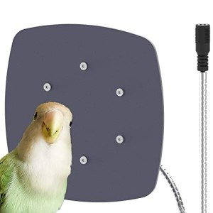 Ogioxam Bird Heater with Thermostat for Parakeets