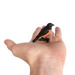 7 Mini Bird Figurines for Party Decorations