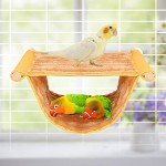 Warm Winter Bird Nest Hammock for Small Pets