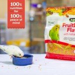 Zupreem Fruitblend Bird Seed for Parrots & Doves