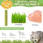 Cat Grass Stick Treats - Healthy Chew Snacks