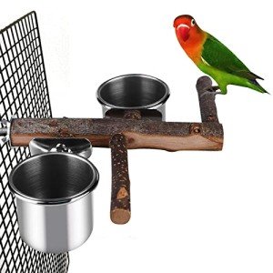 Stainless Steel Bird Feeder with Perch Platform