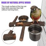 Stainless Steel Bird Feeder with Perch Platform