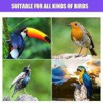 Stainless Steel Bird Feeder with Perch Platform