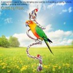 Parrot Bungee Swing Toy with Bell Rope