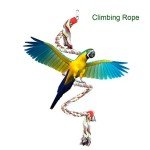 Parrot Bungee Swing Toy with Bell Rope