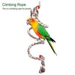 Parrot Bungee Swing Toy with Bell Rope