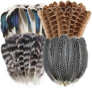 40 Pcs Natural Pheasant Feathers for DIY Crafts