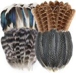 40 Pcs Natural Pheasant Feathers for DIY Crafts