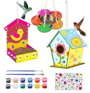 Kids' DIY Birdhouse Kits - 3 Pack
