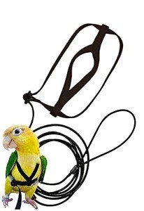 Adjustable Bird Harness and Leash for Parrots