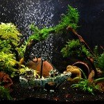 Sunken Ship Aquarium Decor - Resin Fish Tank Accent