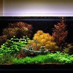 Sunken Ship Aquarium Decor - Resin Fish Tank Accent