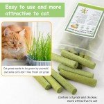 Cat Grass Stick Treats - Healthy Chew Snacks