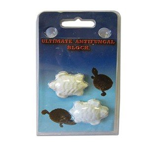 Ultimate Turtle Antifungal Block for Healthy Shells