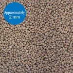 API Betta Food Pellets - .78 Ounce Container
