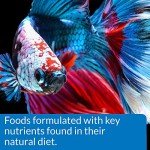 API Betta Food Pellets - .78 Ounce Container