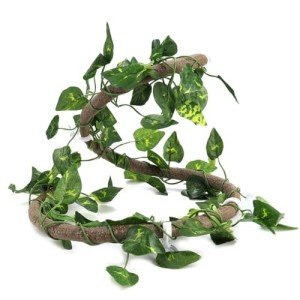 Lizard Climbing Vine with Suction Cups - 2m Long