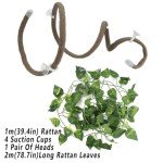 Lizard Climbing Vine with Suction Cups - 2m Long
