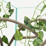 Lizard Climbing Vine with Suction Cups - 2m Long