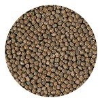Hikari Baby Pellet Fish Food - 3.5oz