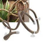 Lizard Climbing Vine with Suction Cups - 2m Long