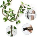 Lizard Climbing Vine with Suction Cups - 2m Long