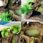 Resin Reptile Platform Tree Trunk Decor Bowl