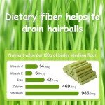 Cat Grass Stick Treats - Healthy Chew Snacks