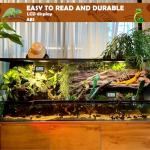 Digital Reptile Thermometer & Humidity Gauge Set