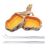 Reptile Bowl Set with Feeding Tongs and Tweezers