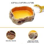 Reptile Bowl Set with Feeding Tongs and Tweezers