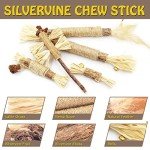 Natural Silvervine Catnip Chew Sticks for Cats