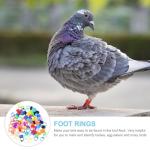 Kisangel 100 Pcs Pigeon Identification Rings