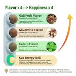 Catnip Ball 4-Pack for Cats - Edible Chew Toys